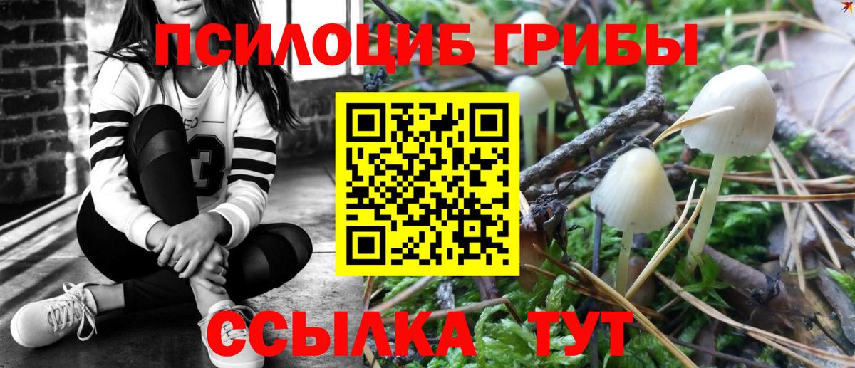 Галлюциногенные грибы мухоморы Трёхгорный